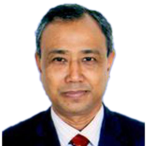 Professor. Dr. Md. Al Amin Mridha