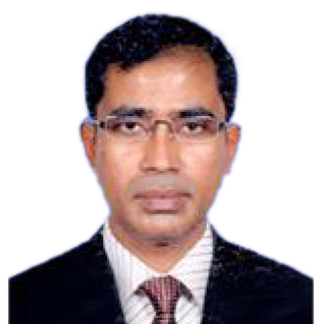 Professor. Dr. A. K. M Monwarul Islam