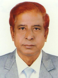 Prof. Dr. Md. Shamsul Haque