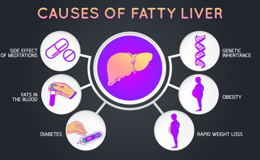 ফ্যাটি লিভার ডায়েট | সুস্থ থাকুন ৩বেলার পরিকল্পিত আহারে!