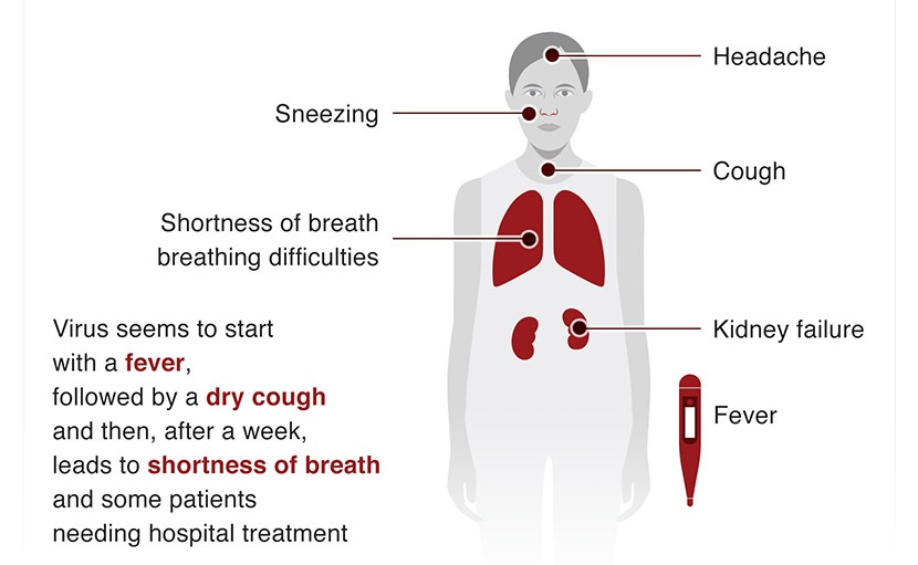 করোনা রোগীর সেবা | পরিচর্যাকারীর কোন বিষয়গুলো লক্ষ্য রাখা উচিত?