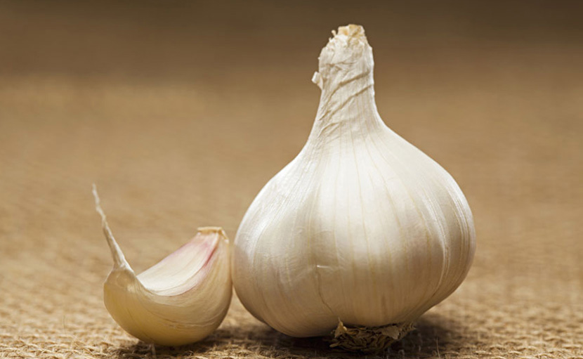 মশার উপদ্রব থেকে বাঁচার ৫টি কার্যকরী ঘরোয়া উপায়!