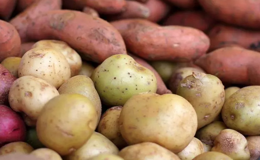 খাদ্যের ৬টি গুরুত্বপূর্ণ উপাদান সম্পর্কে কতটুকু জানেন?